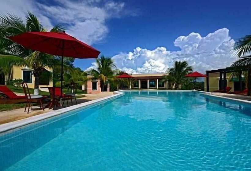 Fotos del hotel Hacienda Y Glamping La Carlotta:  7