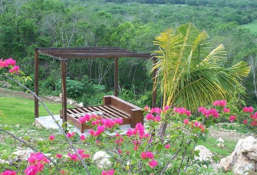 Fotos del hotel Hacienda Y Glamping La Carlotta:  21