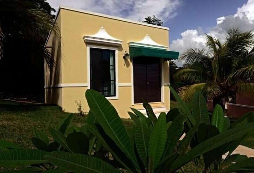 Fotos del hotel Hacienda Y Glamping La Carlotta:  16