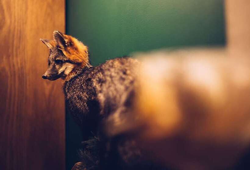 Fotos del hotel Motto By Hilton Washington Dc City Center:  5