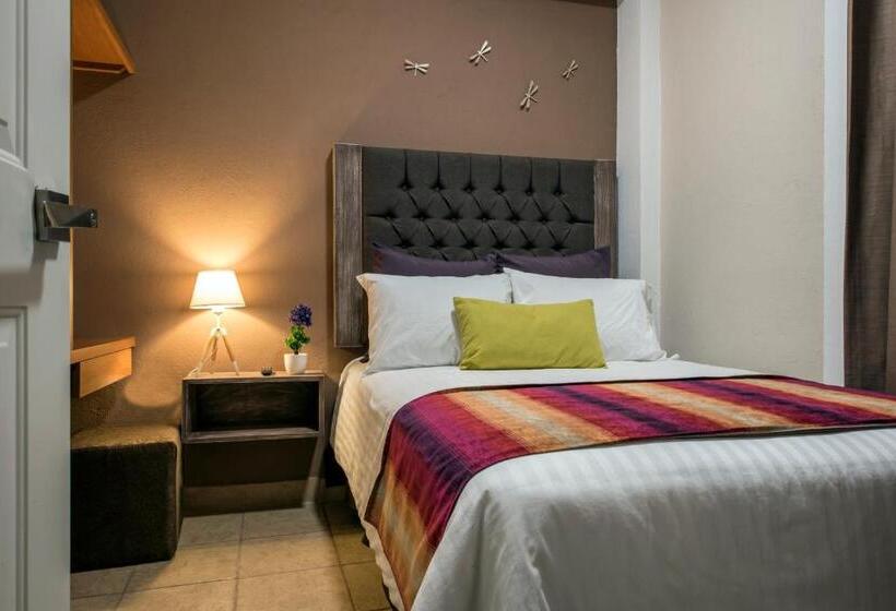 Fotos del hotel Casa Aurora:  6