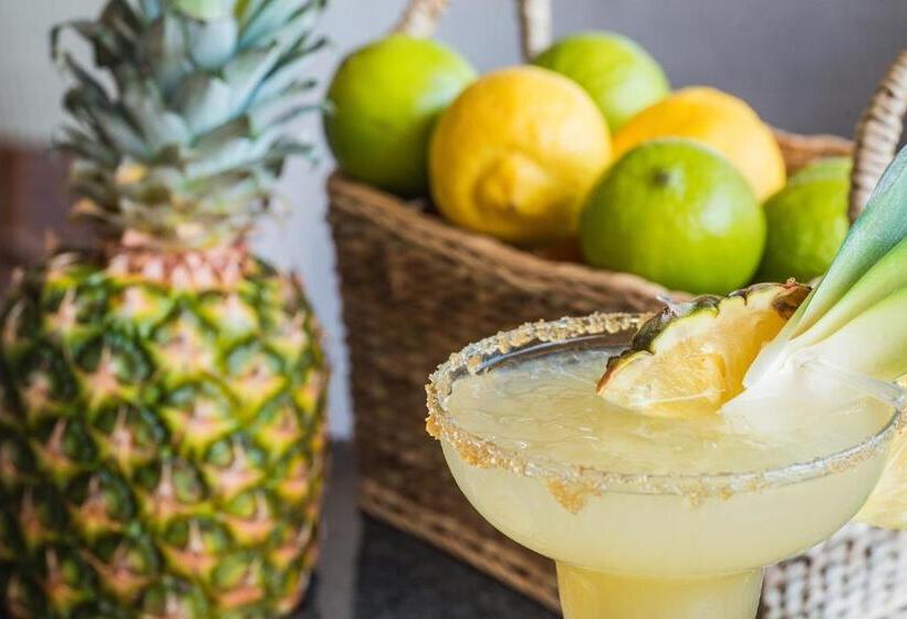 Fotos del hotel Blu Bay Hotel Sozopol:  5