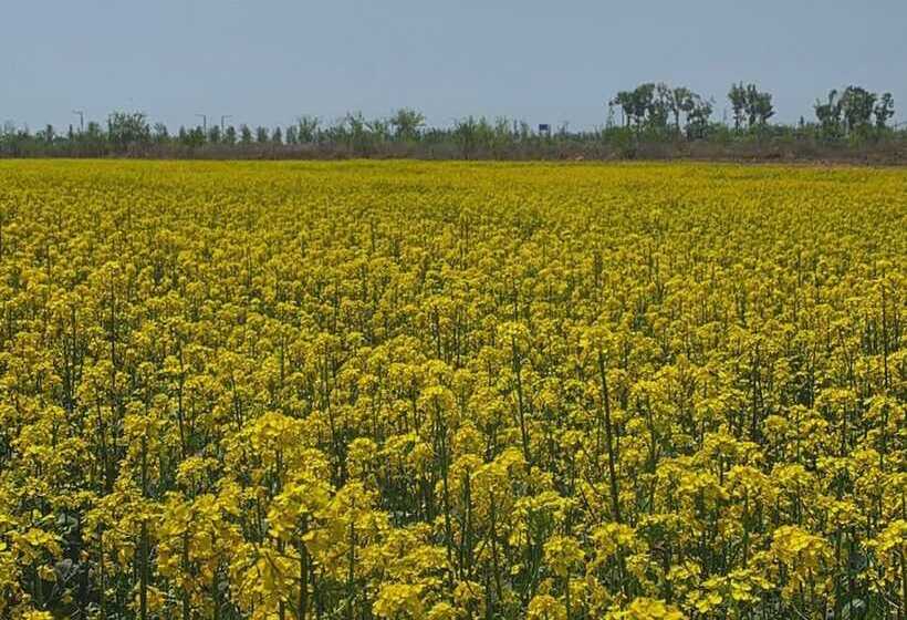 Fotos del hotel Royal Emporium Incheon Airport:  17