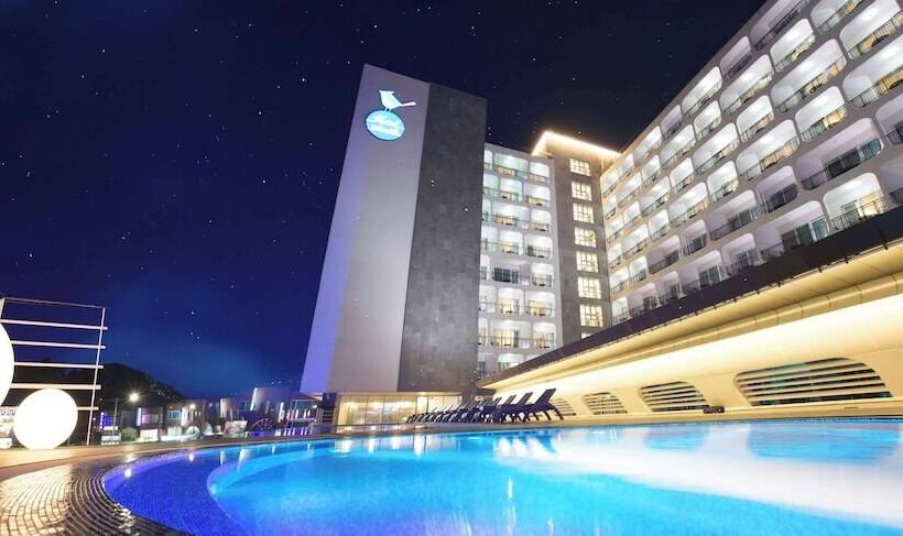 Fotos del hotel Whistle Lark:  12