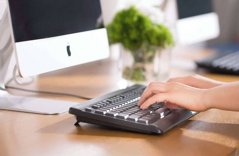 Fotos del hotel Whistle Lark:  8