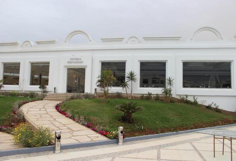 Fotos del hotel Old Vic Sharm Resort Families And Couples Only:  20