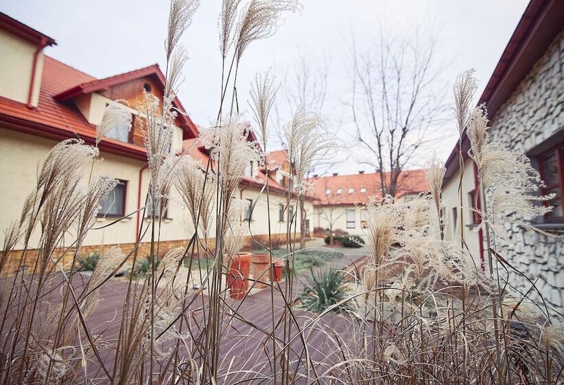 Fotos del hotel Park Hotel & Fitness Club Rzeszów:  12