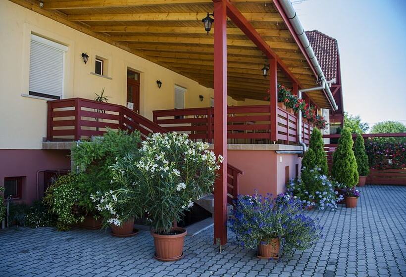 Fotos del hotel Arany Patkó Panzió & étterem:  18