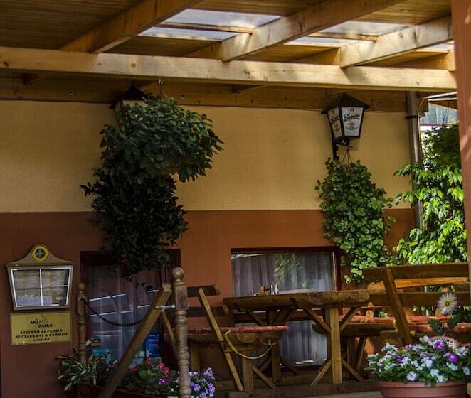 Fotos del hotel Arany Patkó Panzió & étterem:  20