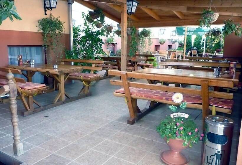 Fotos del hotel Arany Patkó Panzió & étterem:  9