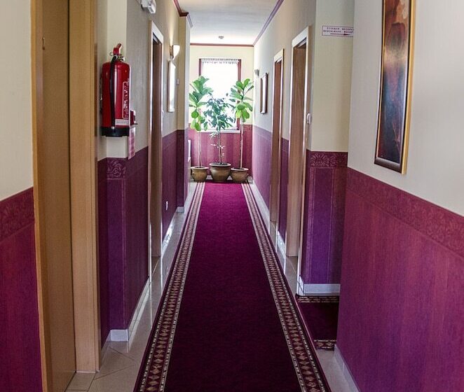 Fotos del hotel Arany Patkó Panzió & étterem:  2