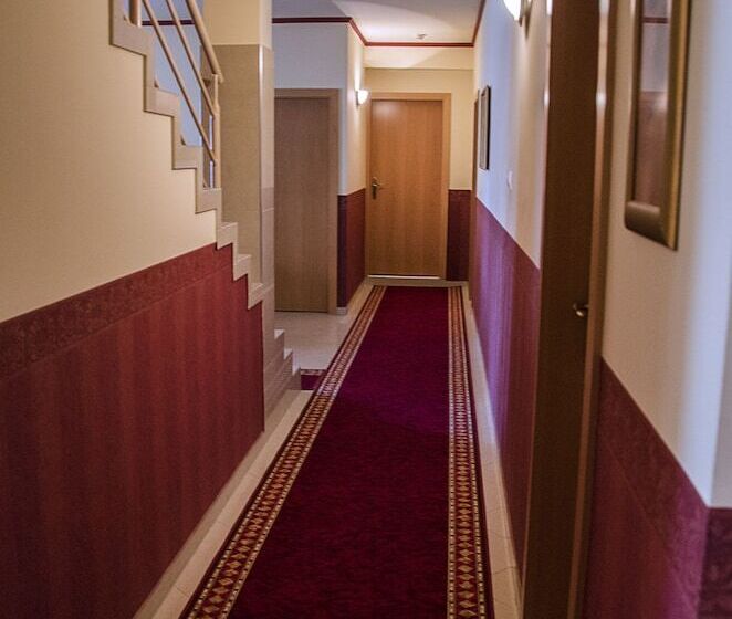 Fotos del hotel Arany Patkó Panzió & étterem:  7