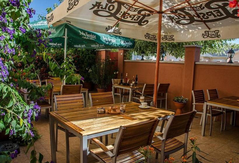 Fotos del hotel Arany Patkó Panzió & étterem:  23