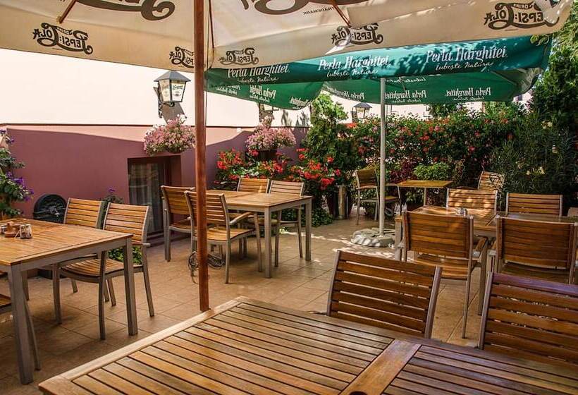 Fotos del hotel Arany Patkó Panzió & étterem:  14