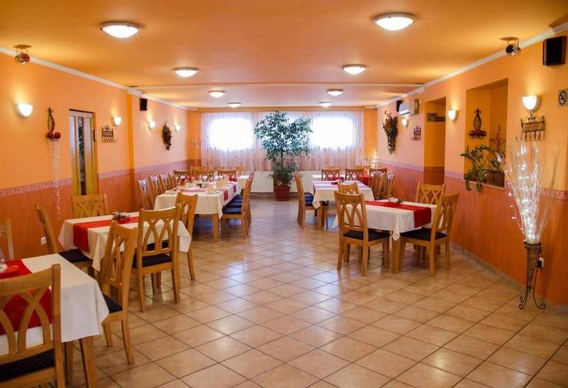 Fotos del hotel Arany Patkó Panzió & étterem:  8