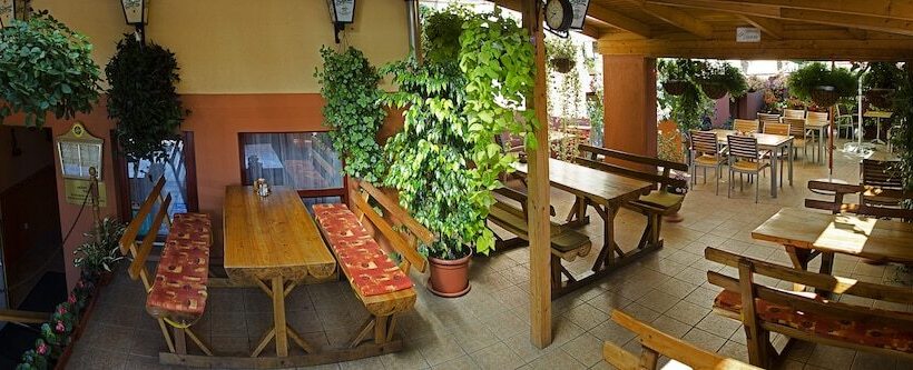 Fotos del hotel Arany Patkó Panzió & étterem:  24