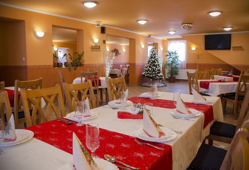 Fotos del hotel Arany Patkó Panzió & étterem:  3