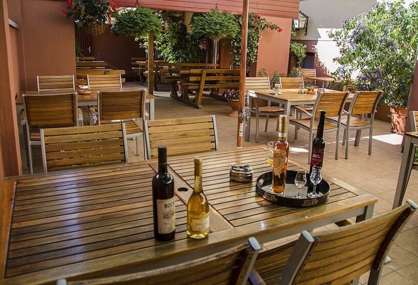 Fotos del hotel Arany Patkó Panzió & étterem:  4