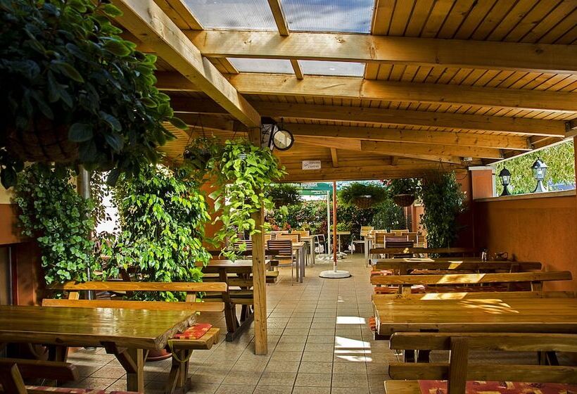 Fotos del hotel Arany Patkó Panzió & étterem:  25