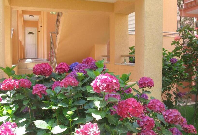 Fotos del hotel Garni Hotel Koral:  8