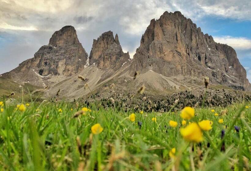 Fotos del hotel Passo Sella Dolomiti Mountain Resort:  14