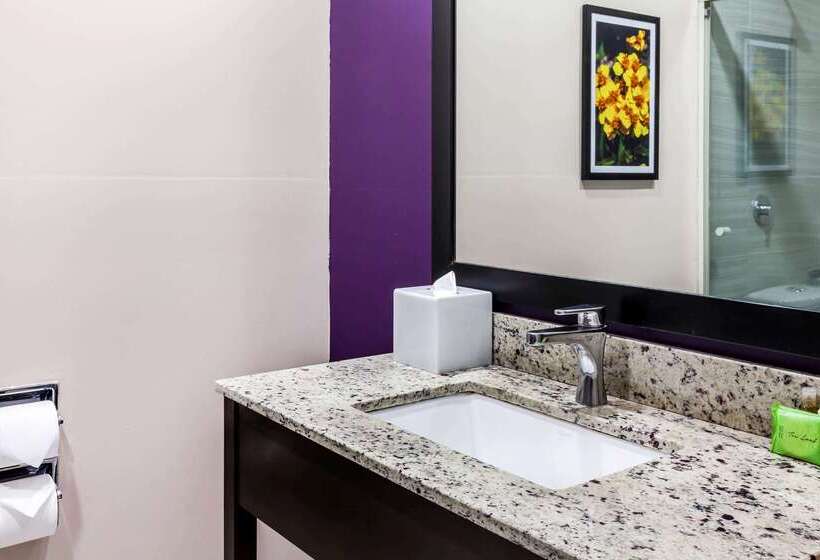 Fotos del hotel La Quinta By Wyndham Monterrey Aeropuerto:  15