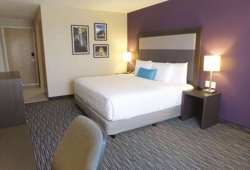 Fotos del hotel La Quinta By Wyndham Monterrey Aeropuerto:  22