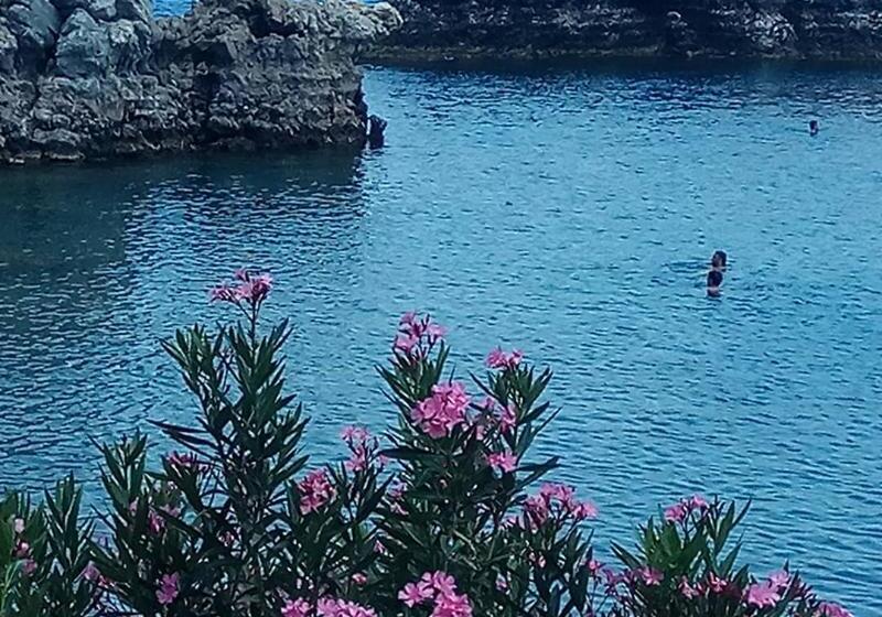 Fotos del hotel Efchi Suites 1904:  11