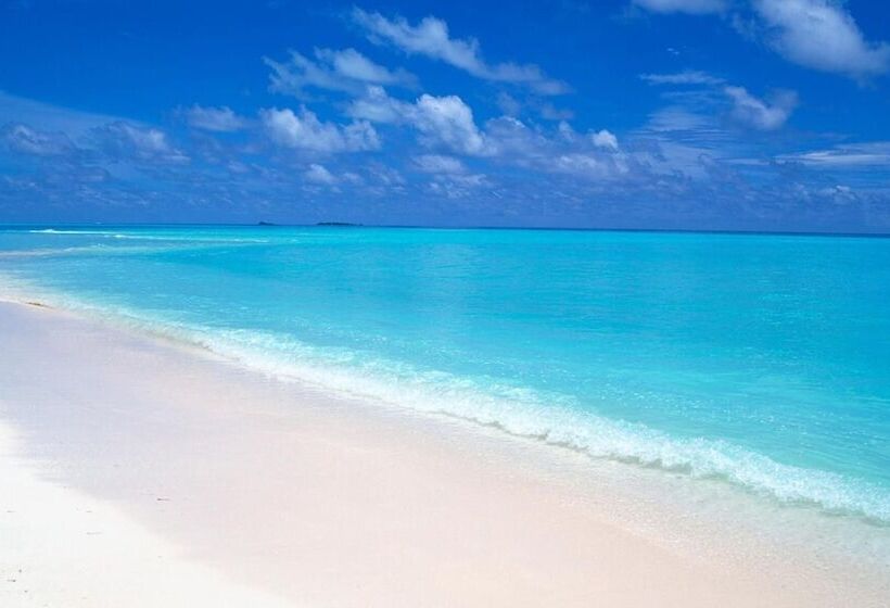 Fotos del hotel Elite Inn:  15