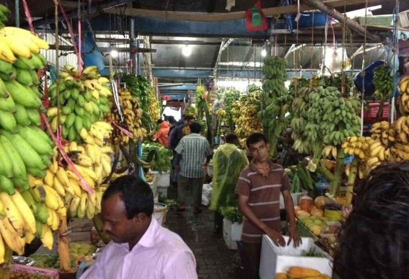 Fotos del hotel Elite Inn:  4