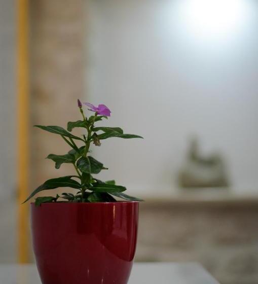 Fotos del hotel Villa Kudelik - Stone Story:  14