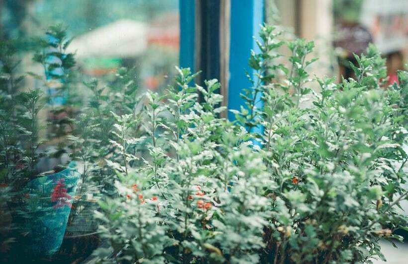 Fotos del hotel Pi S Boutique:  13