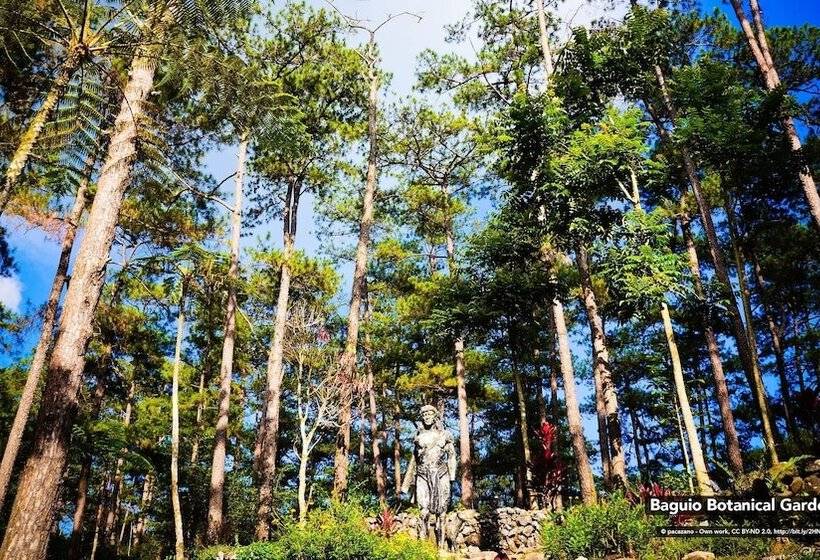 Fotos del hotel The Podium Boutique:  7