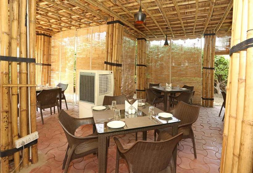 Fotos del hotel Oyo 9666 Hotel The Fateh:  23