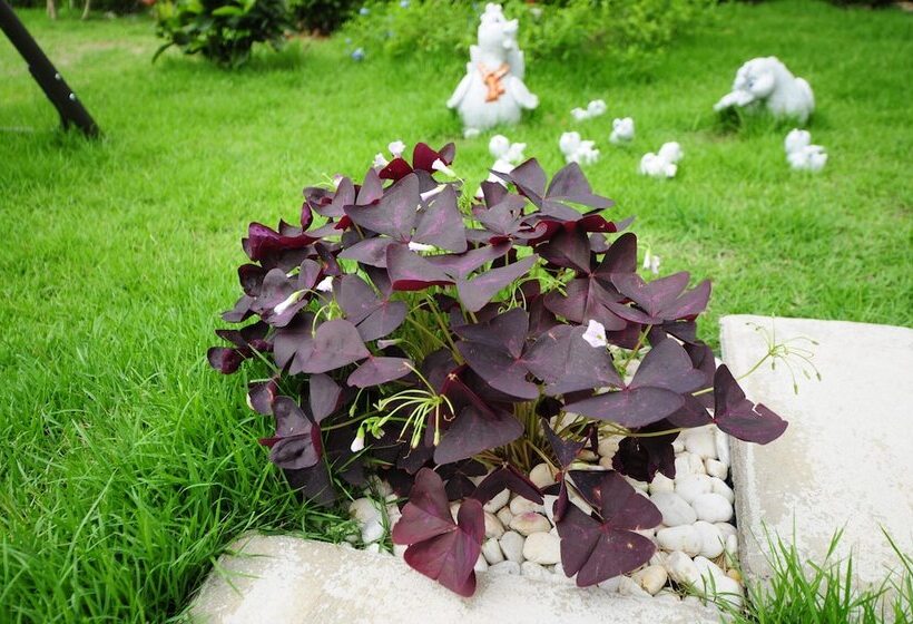 Fotos del hotel Montara  & Resort Korat:  4