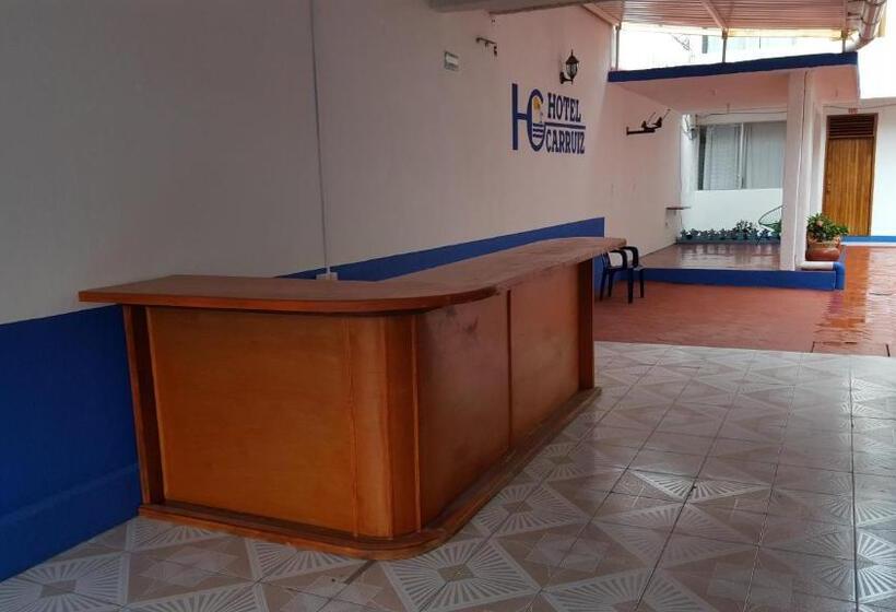 Fotos del hotel Carruiz:  4