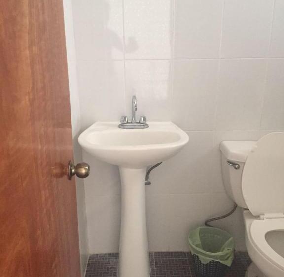 Fotos del hotel Carruiz:  15