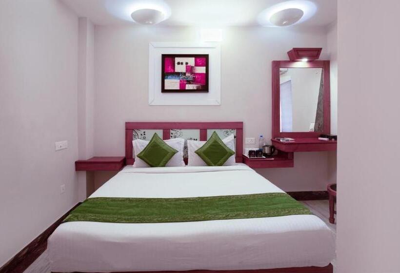 Treebo Trend The Qasr