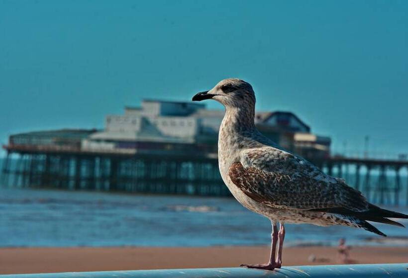 Fotos del hotel Tregenna:  11