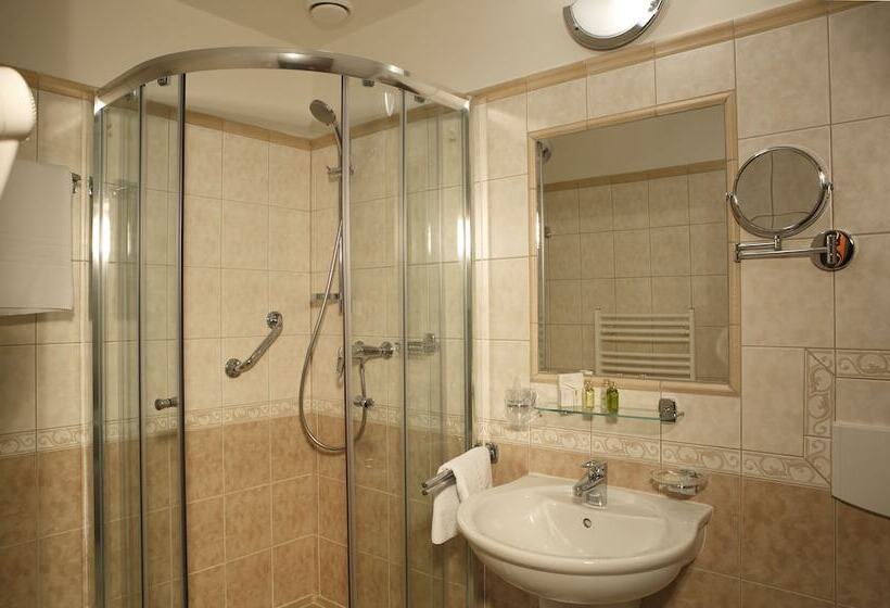 Fotos del hotel Bristol Kralovska Vila:  6