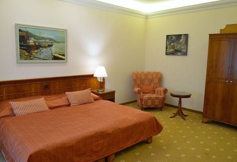 Fotos del hotel Bristol Kralovska Vila:  13