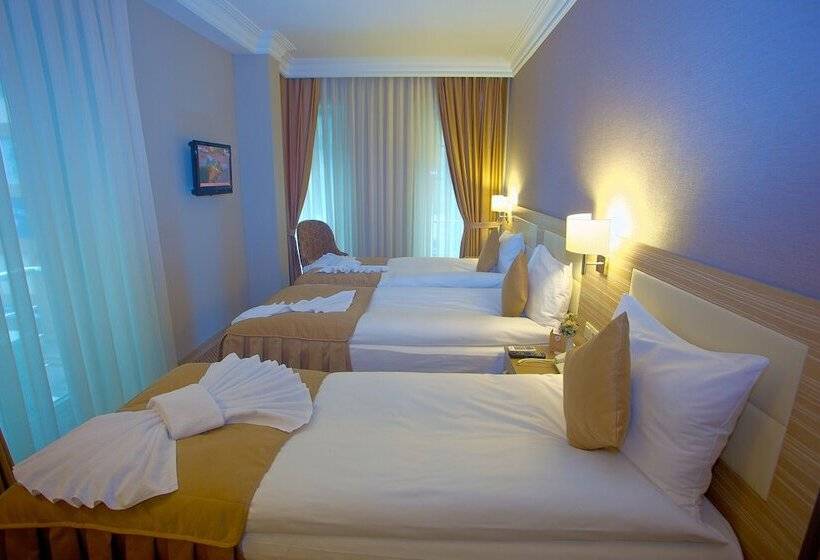 Fotos del hotel Laleli Emin:  6