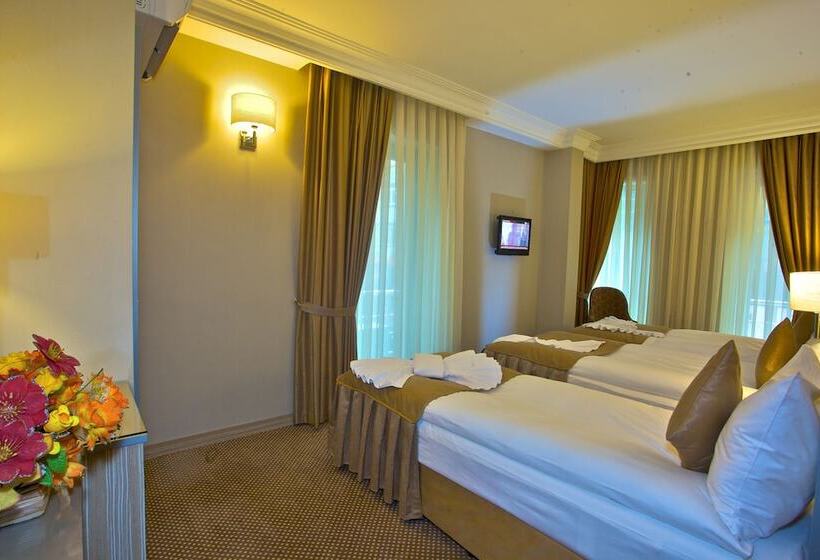 Fotos del hotel Laleli Emin:  17