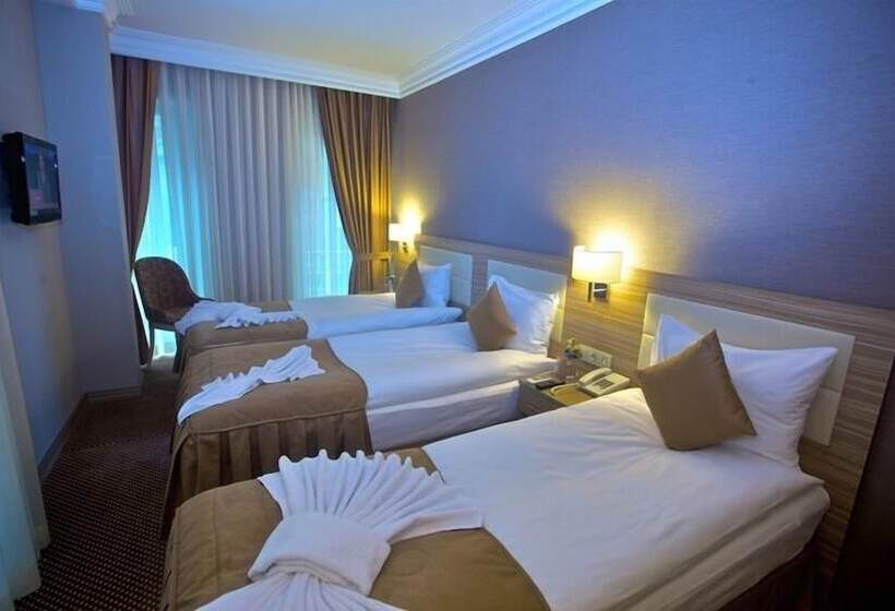 Fotos del hotel Laleli Emin:  19