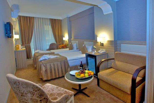 Fotos del hotel Laleli Emin:  7