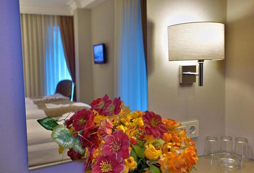 Fotos del hotel Laleli Emin:  22