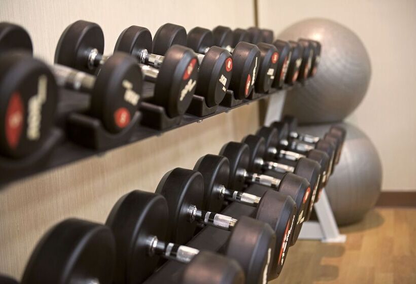 Fotos del hotel Mena Plaza  Albarsha:  18