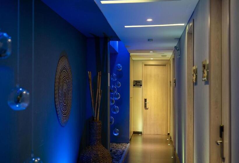 Fotos del hotel Perla Suite:  21