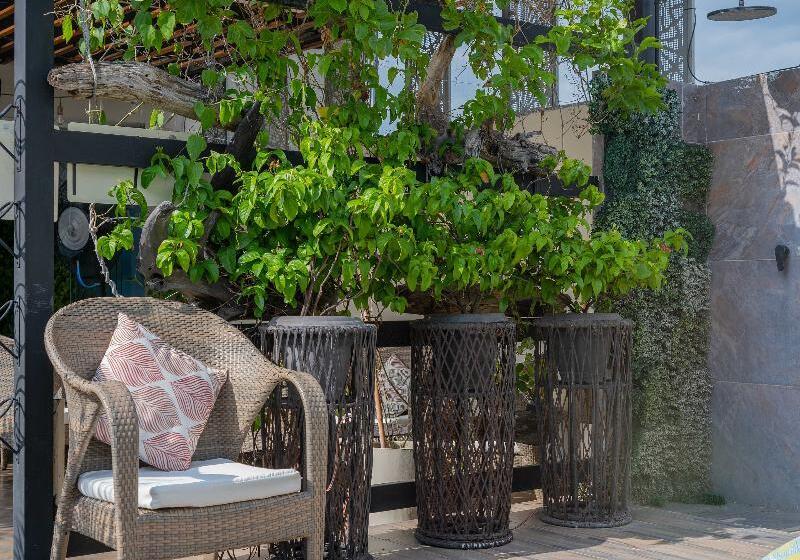 Fotos del hotel Perla Suite:  16