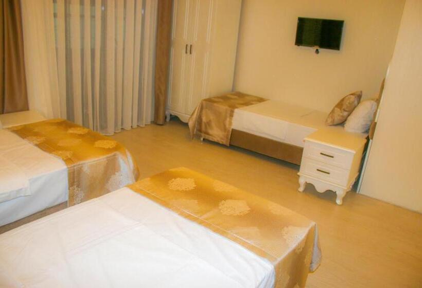 Fotos del hotel Deluxe Newport:  14